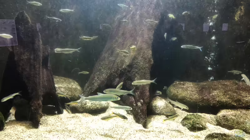 Blog: WILHELMA 5 - Zoologisch-Botanischer Garten in Stuttgart (5304)