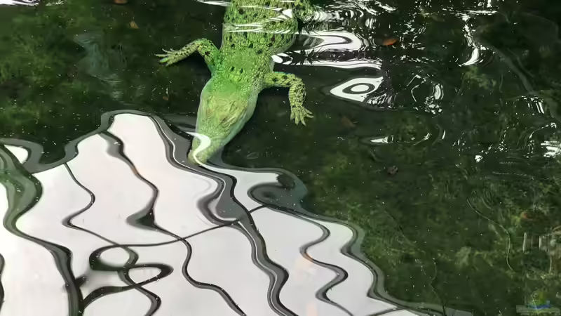 Blog: WILHELMA 6 - Zoologisch-Botanischer Garten in Stuttgart (5305)