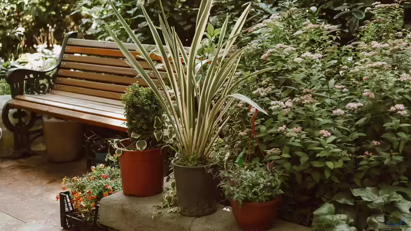 Blog: Wohlfühlmomente im Garten bewusst erzeugen: Dein Weg zum persönlichen Outdoor-Paradies (7291)