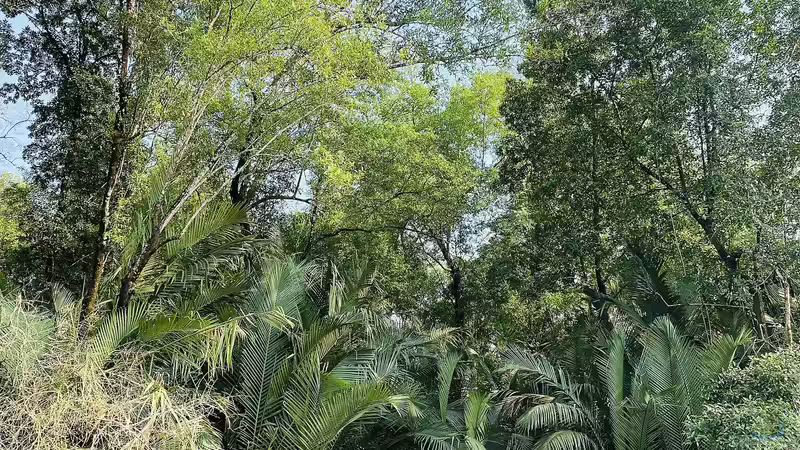 Blog: Zierfische aus Kamerun - Artenvielfalt, Haltung und Besonderheiten (7849)