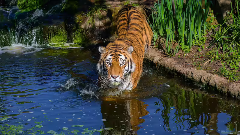 Blog: Zoo Duisburg - Ein Natur- und Erlebnisort mit Geschichte, Haltungskonzepten und Artenschutz (7725)