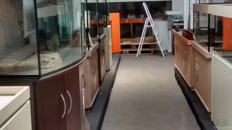 Blog: Zu Besuch bei der Firma Aquarienkontor (5173)