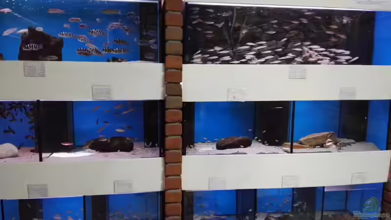 Blog: Zu Besuch beim Aqua-Treff in Meerbusch (5231)