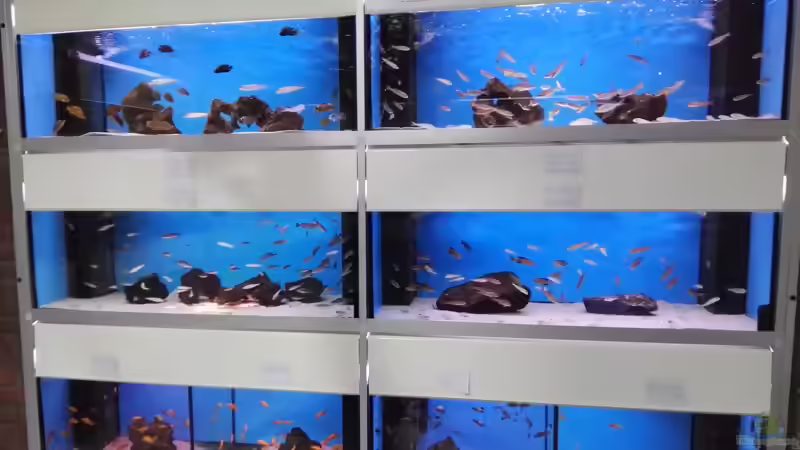 Blog: Zu Besuch beim Aqua-Treff in Meerbusch (5231)
