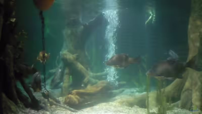 Blog: zu Besuch im Sea Life - München (3357)