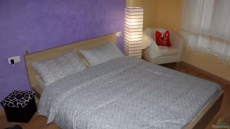 Blog: Zwischenstand (4649)