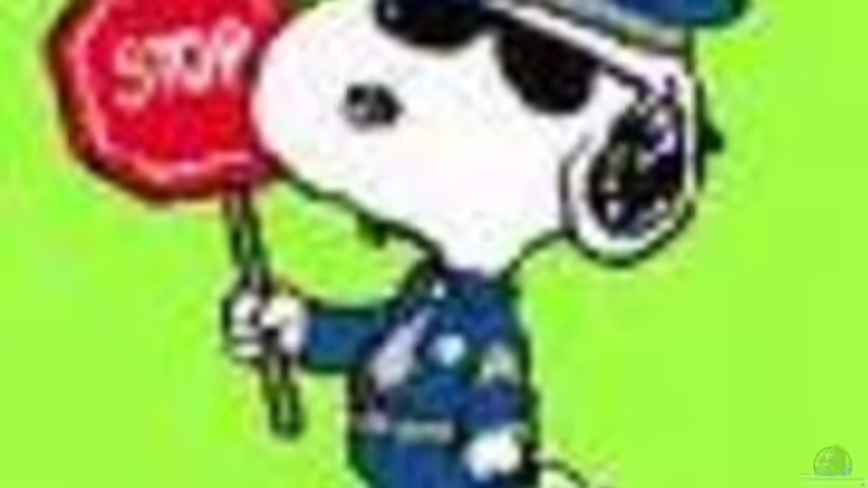 Blog von ~TOTO~, sollte jeder beherzigen von Malawi TOM (7)