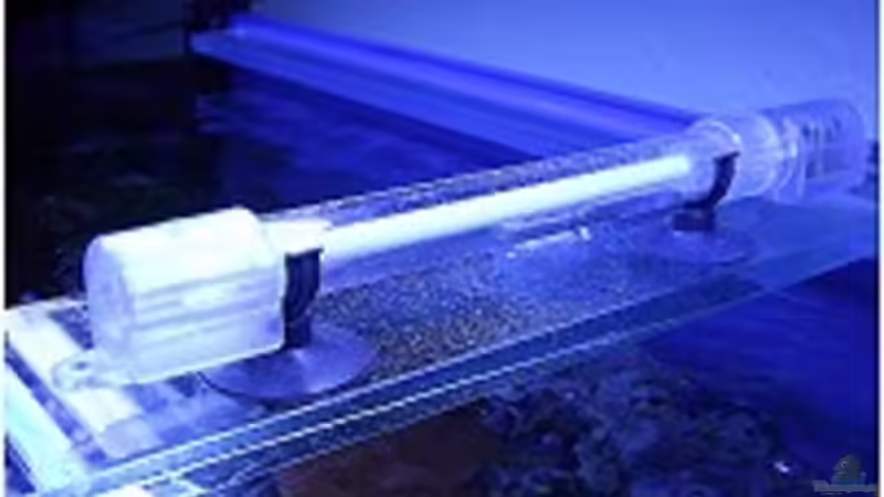 blueline Mondlicht von Petra Kallmeyer (16)