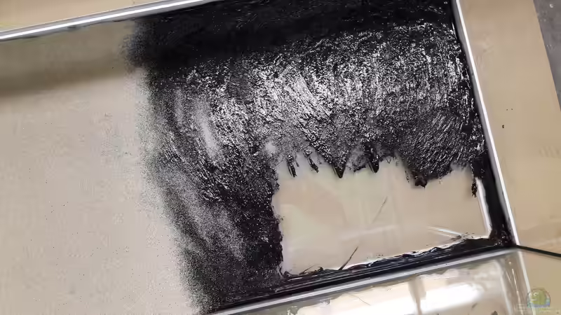 Boden dünn mit AQ-Sili bestrichen und Sand eingestreut.Falls sie mal bis zur Scheibe von Thorsten T (4)