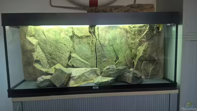 Boden mit PVC geschützt von Frank Furt (2)