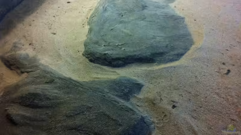 Boden mit Substrat von Jürgen Herb (14)