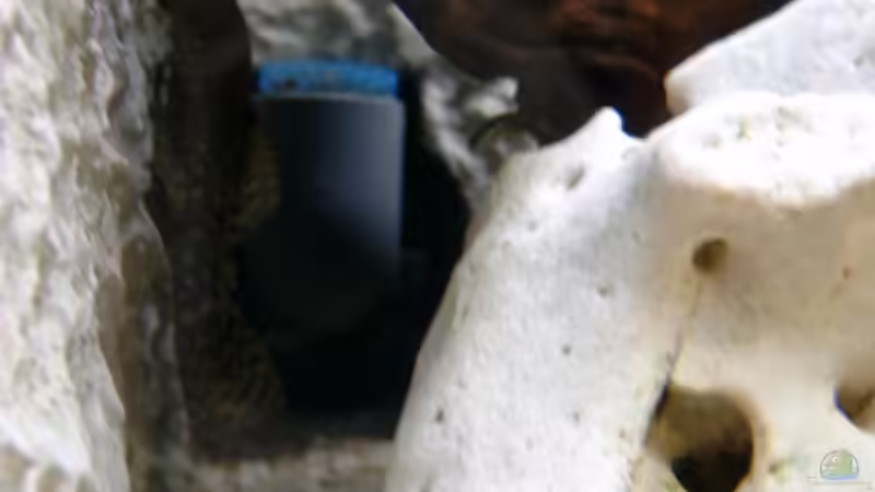 Bodenansaugung von Josef Knauer (13)