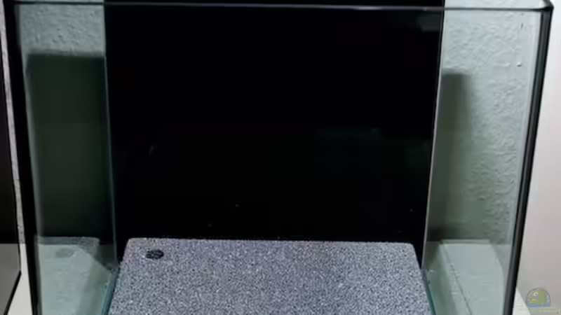 Bodenfilter im Becken von Beni M (7)