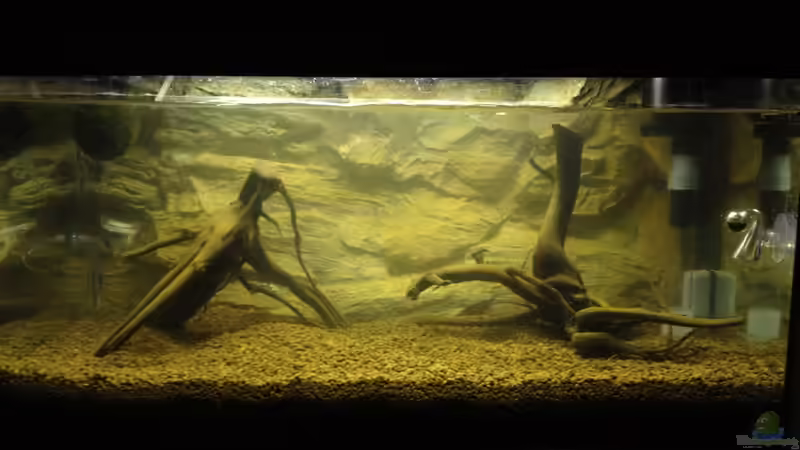 Bodenfilter nach 2 Stunden von Hardflip (7)