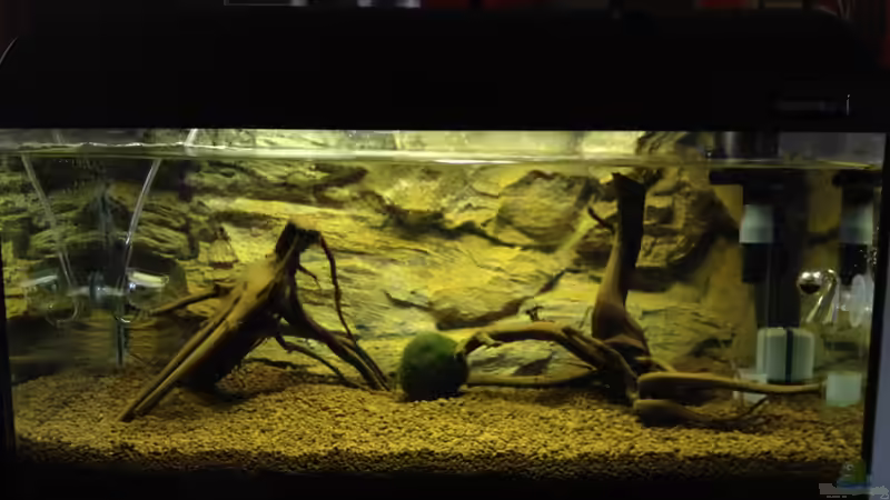 Bodenfilter nach 24 Stunden von Hardflip (8)