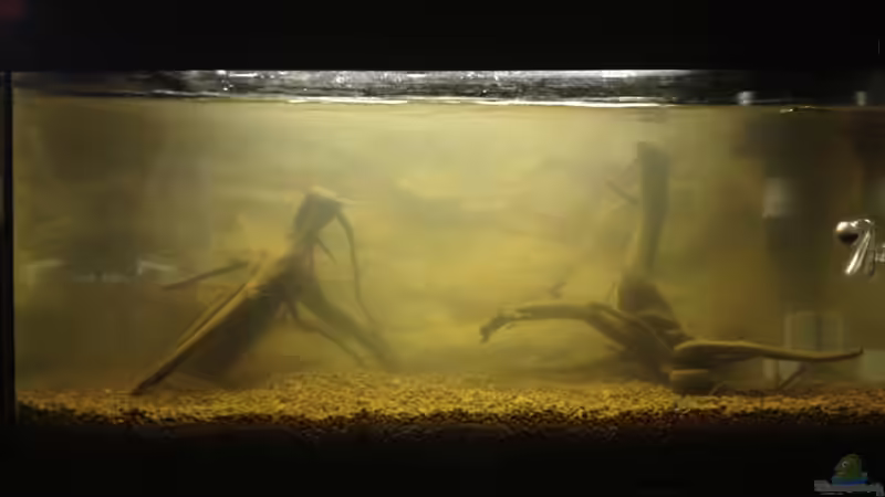 Bodenfilter nach einer Stunde von Hardflip (6)