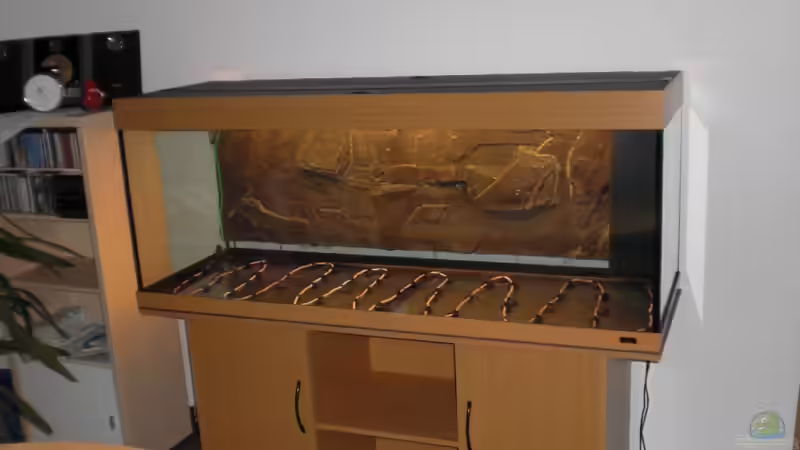 Bodenfluter von Misterdaddy (19)