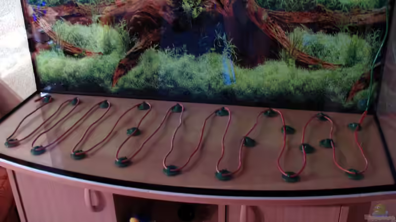 Bodenfluter von Nicole Welz (10)