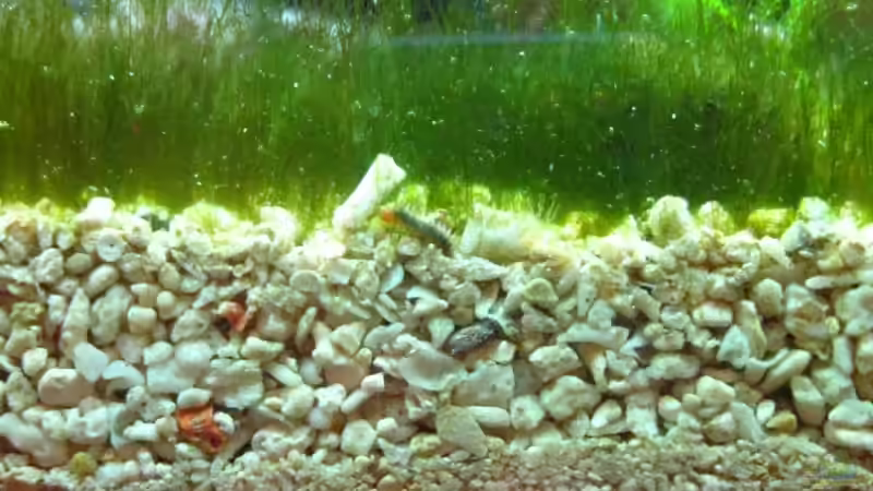 Bodengrund [ gut erkennbare 2-Schichten ] von Christian Schneider (5)