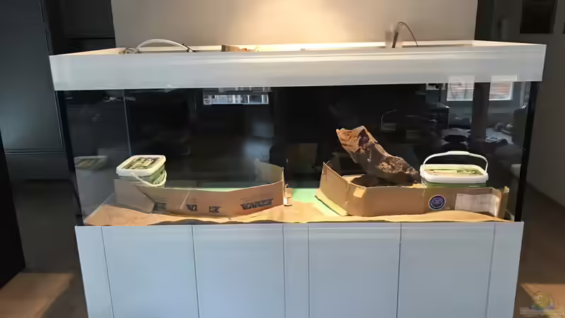 Bodengrund; Abtrennung Sand und Soil von JARB (27)