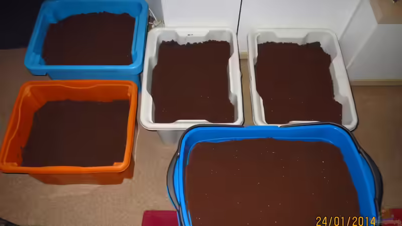 Bodengrund: JBL Manado Körnung 0,5-2mm 60kg von Dieter (39)