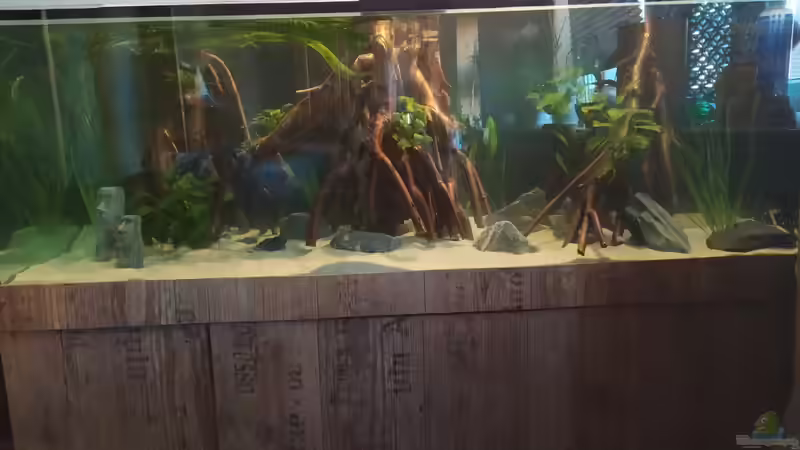 Bodengrund, Steine und Pflanzen sind drin von vauen (2)