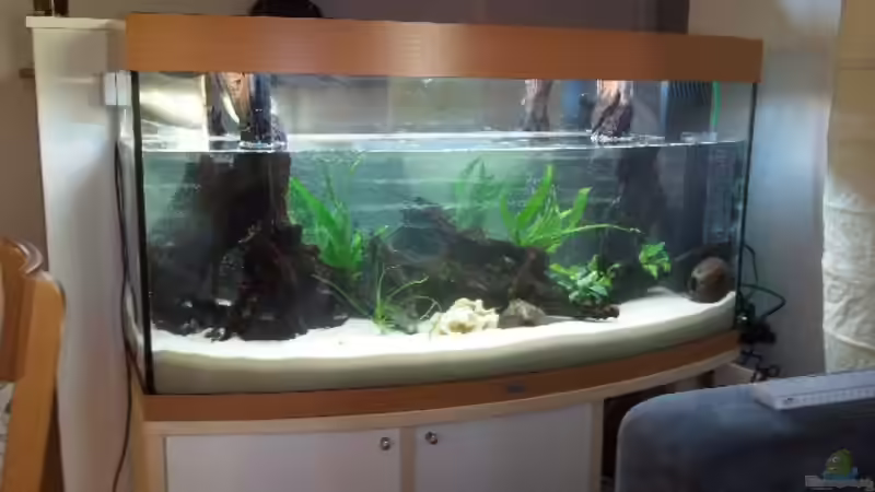 Bodengrund, Technik, Deko und Bepflanzung rein... von Bassley (9)