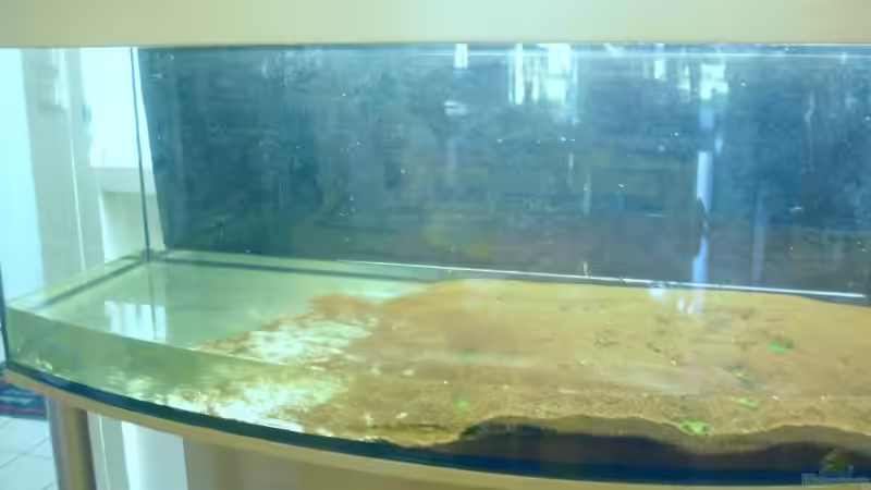 Bodengrund absaugen von nemo0109 (4)