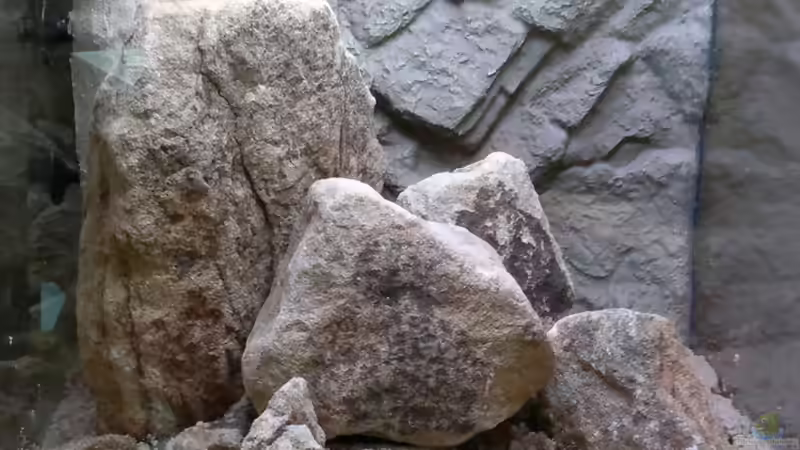 Bodengrund eingebracht und Blick auf die mittels Silikon besandeten Einlauf- und von Sambia (11)