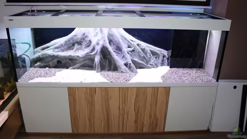 Bodengrund eingerichtet von Wabi (6)