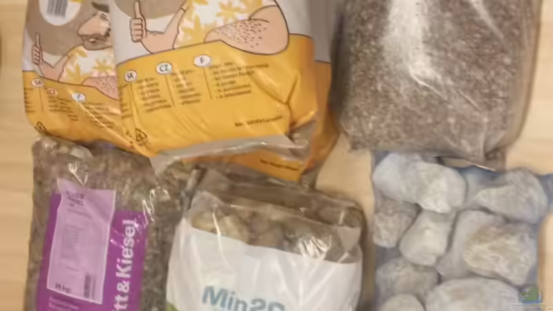 Bodengrund geholt, mehr als Genug von Beulenkopftyp (10)