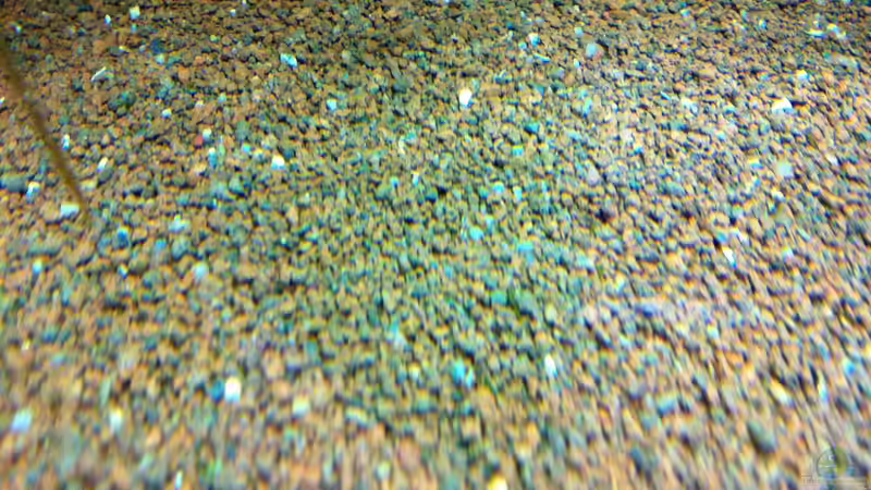 Bodengrund Manado  von linlan (5)