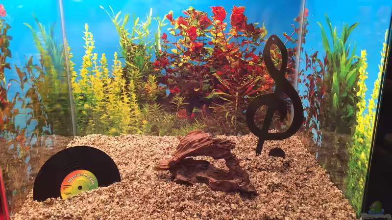 Bodengrund mit Deko von Hanse-Hannes (27)