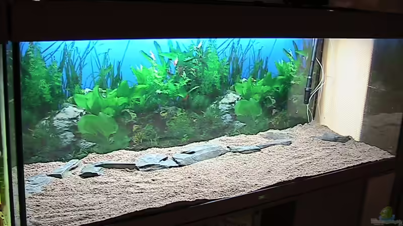 Bodengrund und Schiefer sind drin von ManiacT (3)