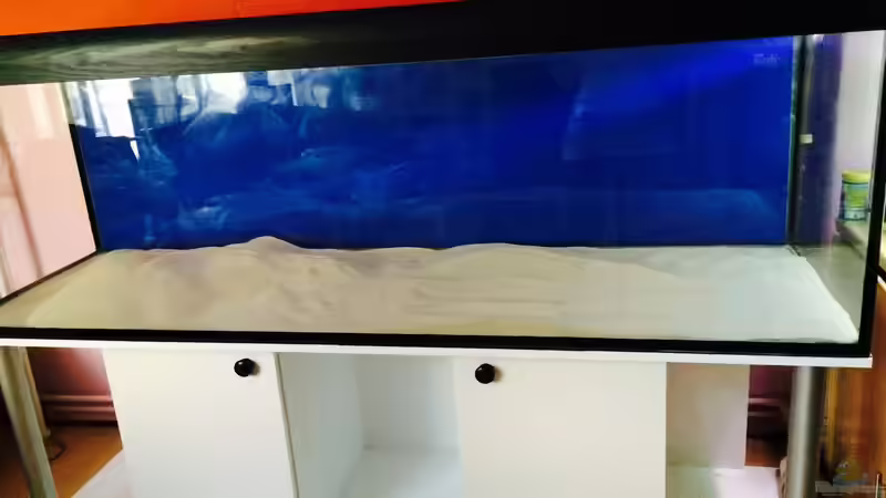 Bodengrund von Arielle (11)