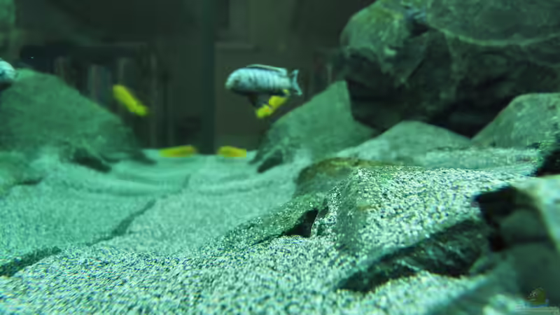 Bodengrund von Bbert (12)