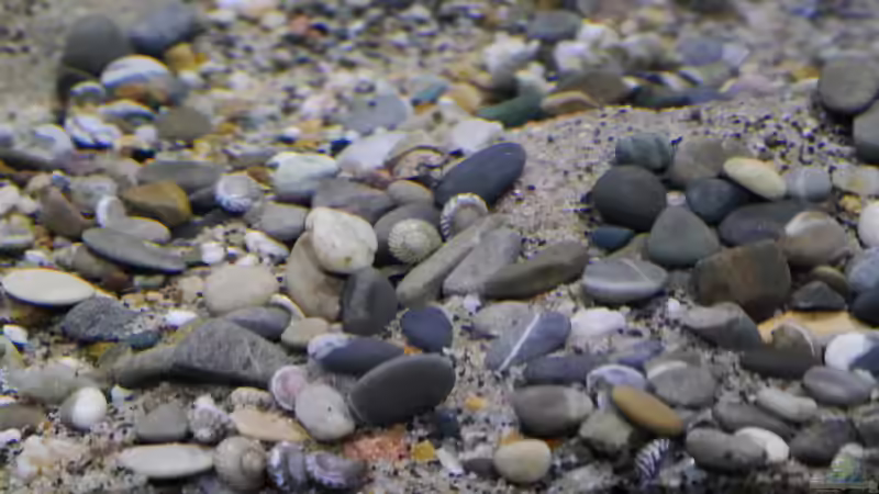 Bodengrund von Jan Steger (13)