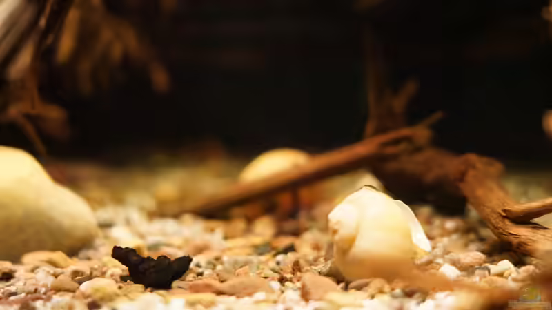 Bodengrund von Jonas B. (19)