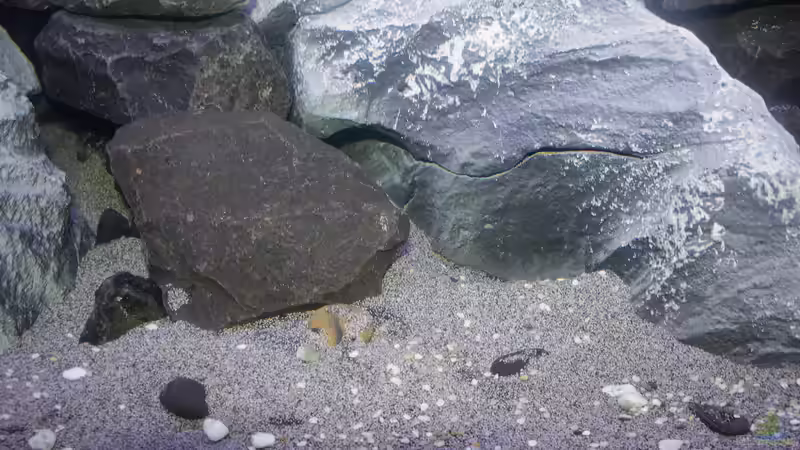 Bodengrund von Jürgen Hubral (35)