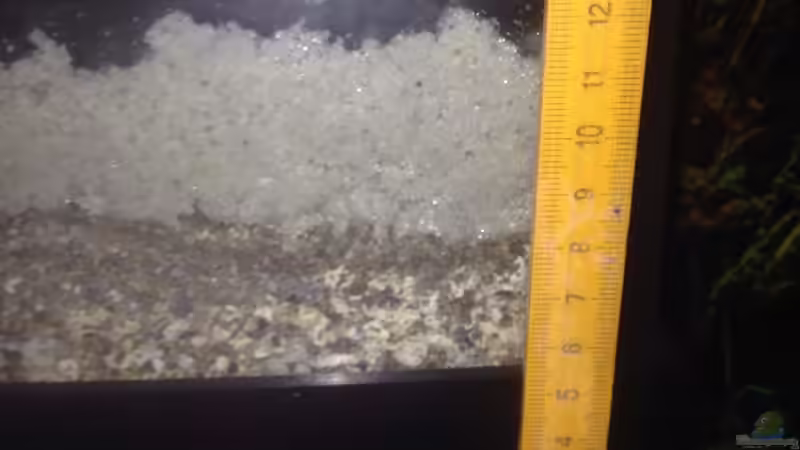 Bodengrund von parrots-of-fire.de (5)