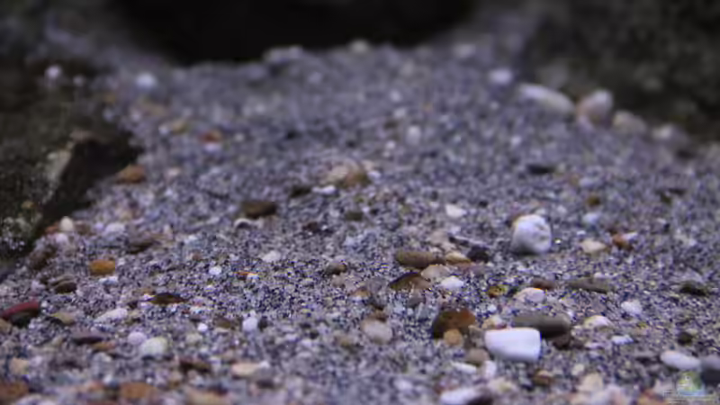 Bodengrund von Sebastian O. (14)