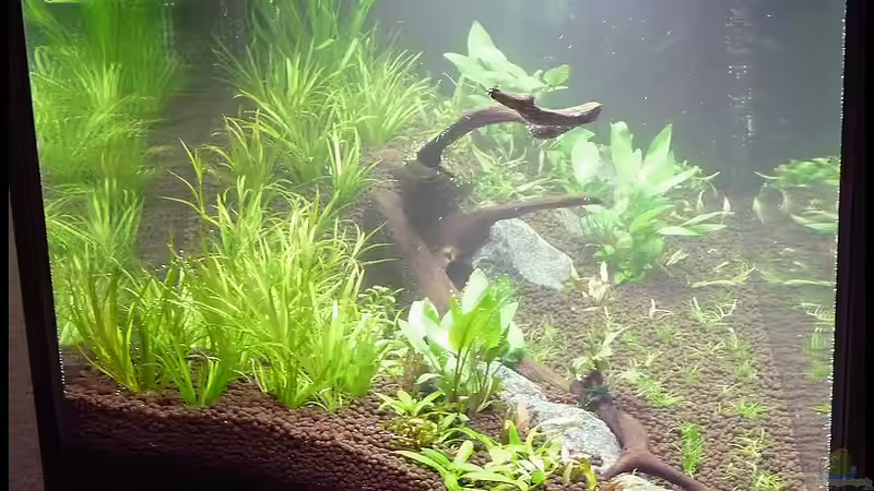 Bodengrundhöhe hinten 20 cm ; vorne 6 cm Seitenansicht von Konzi (7)