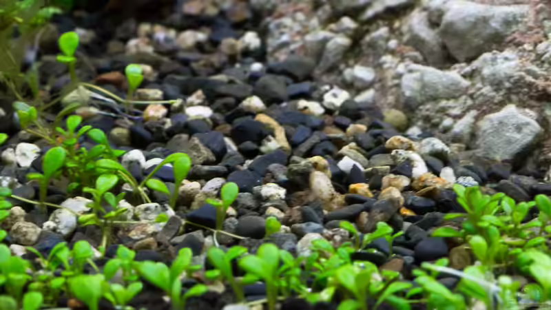 Bodengrundoberfäche 02.11.2013 von Koelle-Zoo (21)