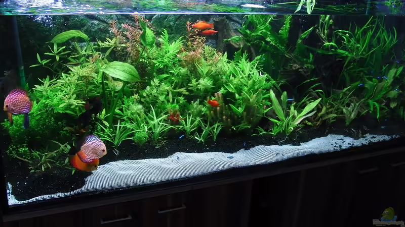 Bodengrundwechsel am 10.10.10 von Microsash (21)