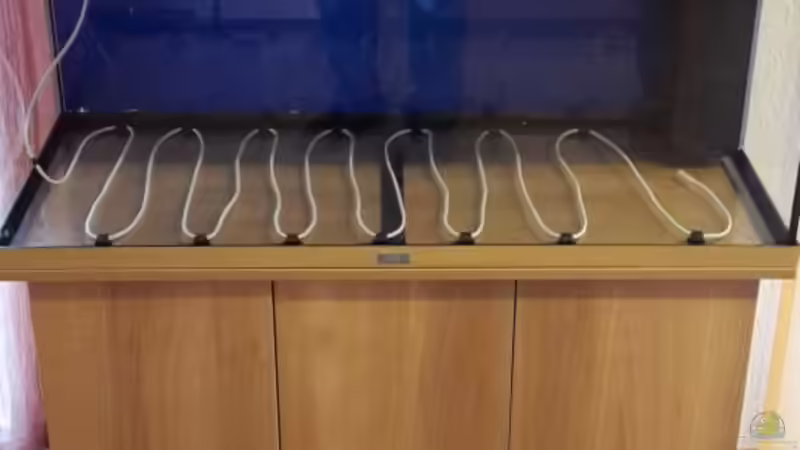 Bodenheizung im Aquarium - Sinn, Funktionsweise und Kaufberatung
