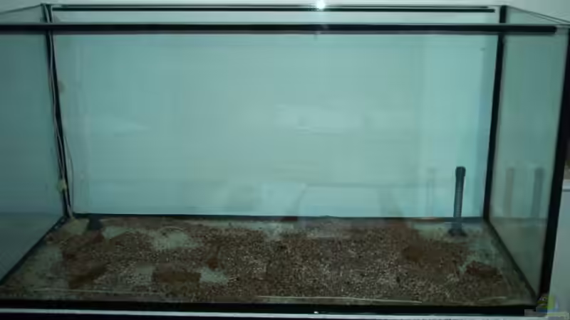 Bodenheizung und etwas Bodengrund von Aero-Frank (2)