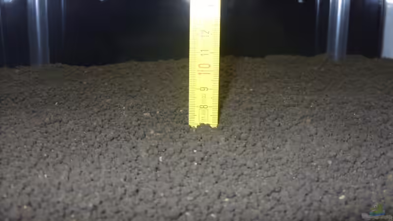 Bodenhöhe 7 cm von Julien Preuß (4)