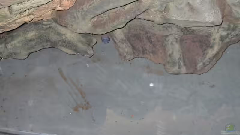 Bodenmodul zersägt um Rückwand zu verlängern von Hubert Demonty (14)