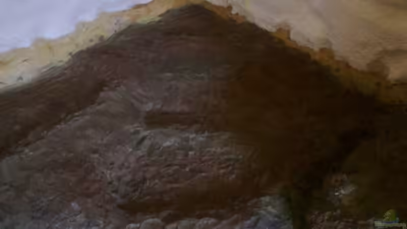 Bodenplatte frisch betoniert von Betta Chris (33)