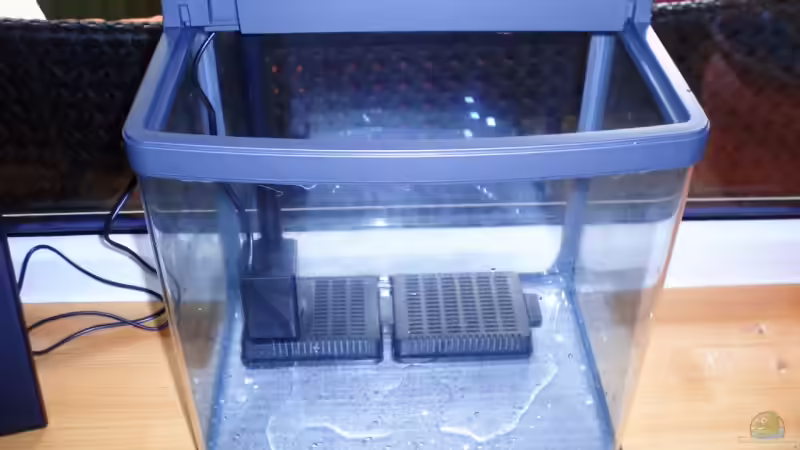 Bodenplatten von Der Engländer (8)